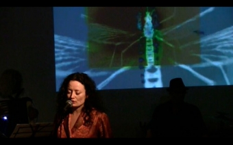 Live at apexart, NYC May 2012 • <a style="font-size:0.8em;" href="http://www.flickr.com/photos/79831278@N07/7331283506/" target="_blank">View on Flickr</a>